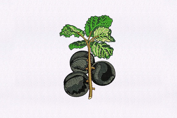 Black Cherry Vines Embroidery Review