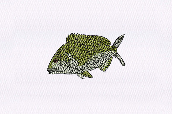 Green Fish Embroidery Review