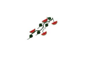 Watermelon Vine Embroidery Review